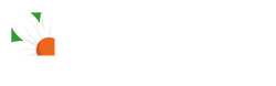 Bayview Flowers